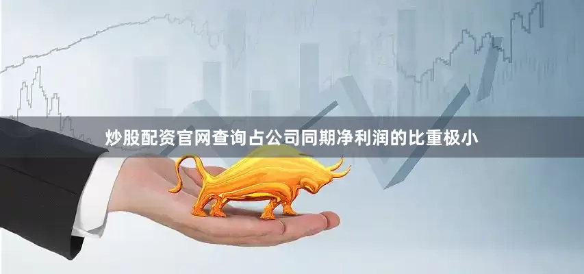 炒股配资官网查询占公司同期净利润的比重极小