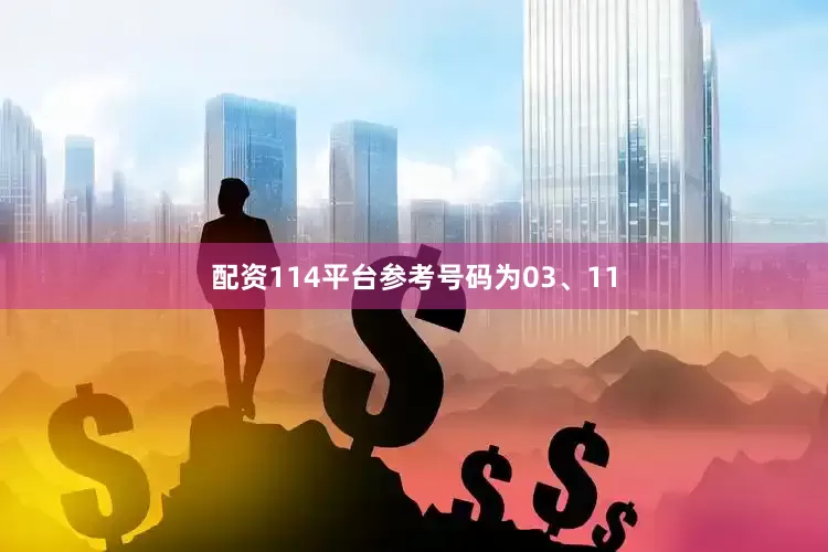 配资114平台参考号码为03、11